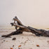 Driftwood Coastal Minimalist Art